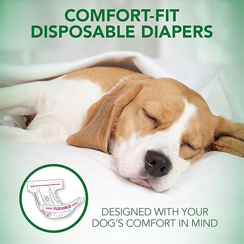 Miniatura 2 de Vet's Best Comfort Fit - Pañales desechables para perras, absorbentes con ajuste a prueba de fugas, S (16-22 pulgadas de cintura) - 12 unidades