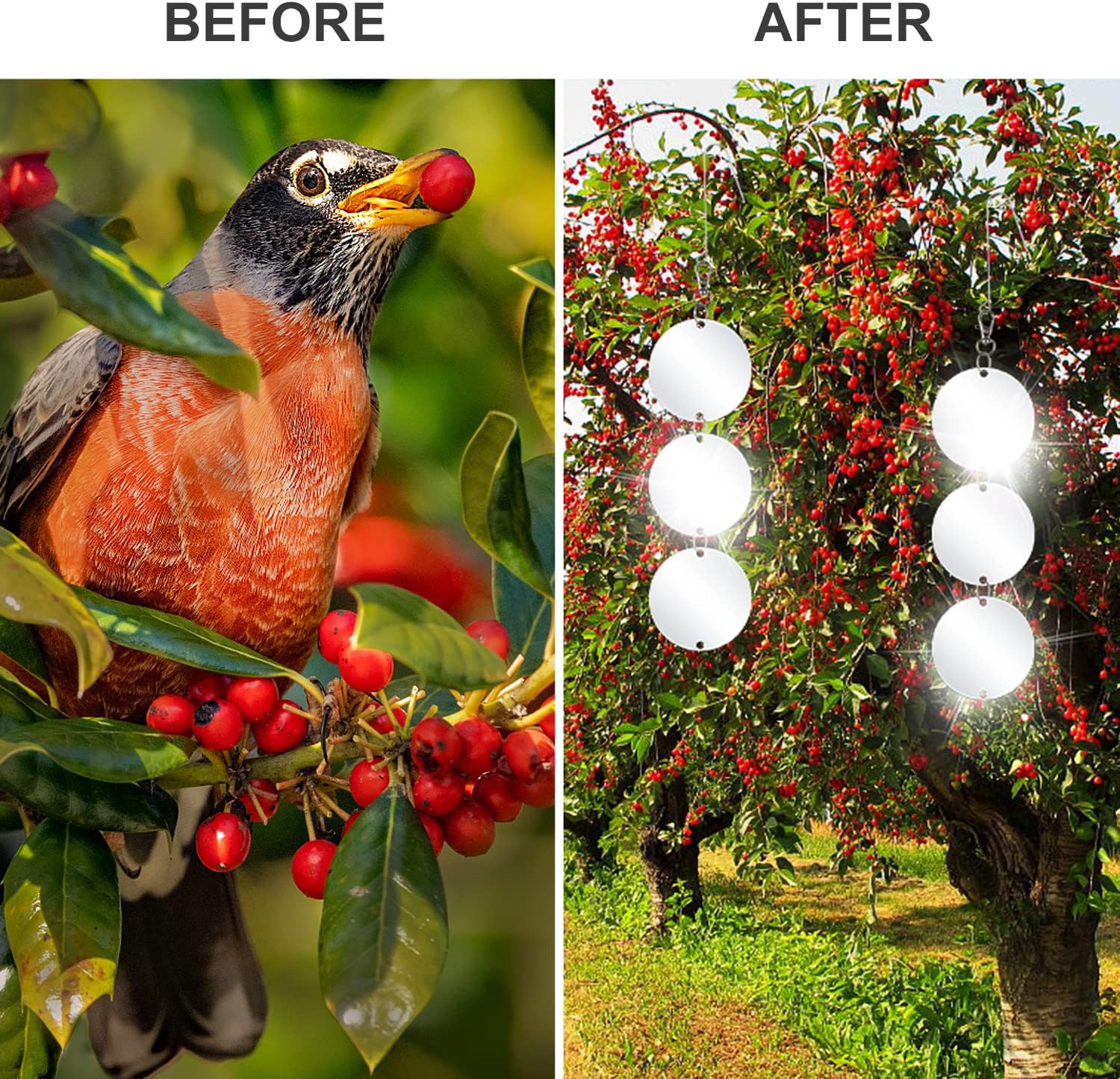 XPCARE 48 Pcs Bird Scare Discs -Highly Reflective Double-Sided Bird Reflectors, Upgraded Discs Set Reflective to Keep All Birds Away Like Woodpeckers, Pigeons, Ducks