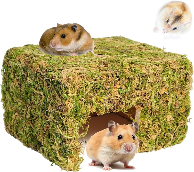 Esconderijo para Pequenos Animais em Madeira de Pinus e Musgo Natural SanmooAio FXDBW01 – Grande