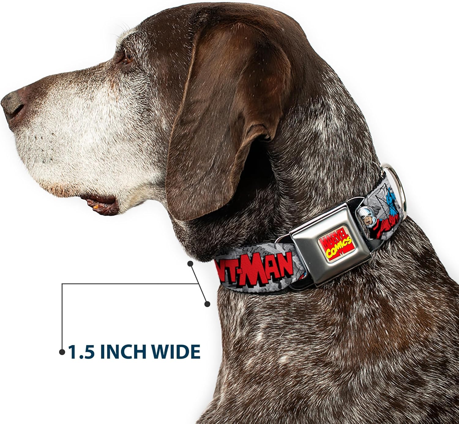 Dog Collar Seatbelt Buckle Classic Ant Man 3 Poses Comic Stacked Grays Black Red 9 to 15 Inches 1.0 Inch Wide