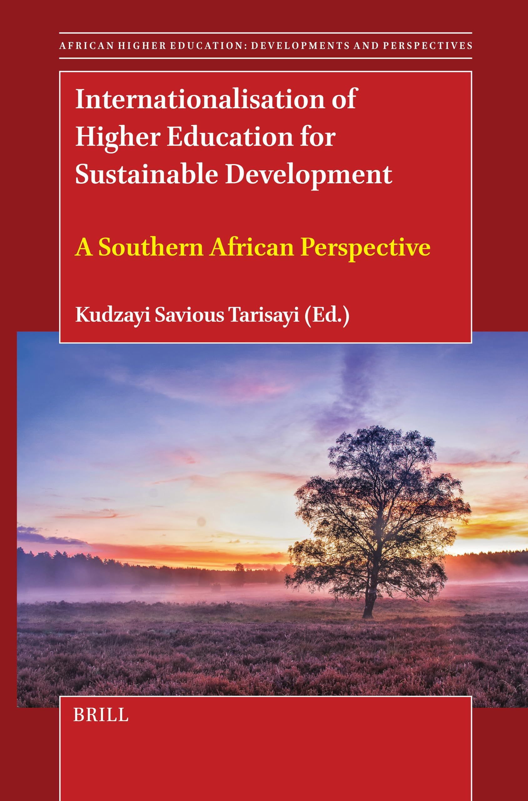 Internationalisation of Higher Education for Sustainable Development: A Southern African Perspective: 22 (African Higher Education: Developments and Perspectives)