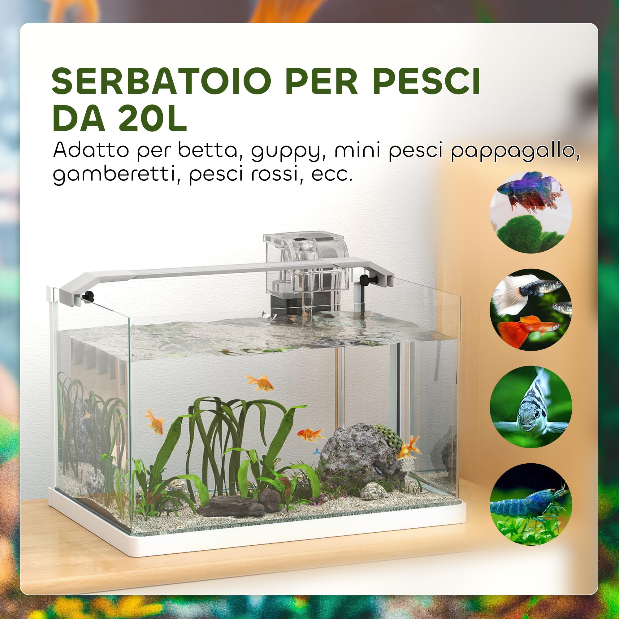 PawHut Acquario per Pesci Rossi in Vetro con Luci LED, Acquario 20L per Tropicali con Filtro e Pompa d'Acqua, 38x26x27 cm, Bianco