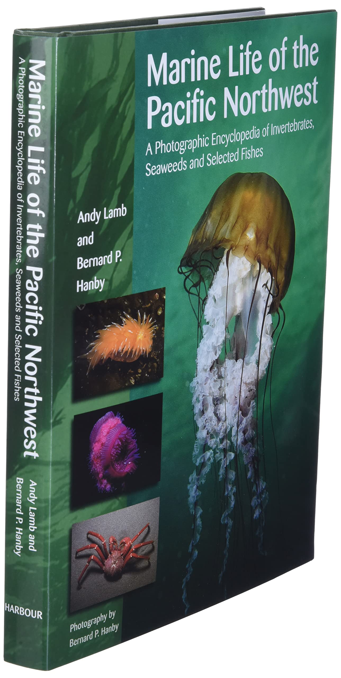 Marine Life of the Pacific Northwest: A Photographic Encyclopedia of Invertibrates, Seaweeds And Selected Fishes