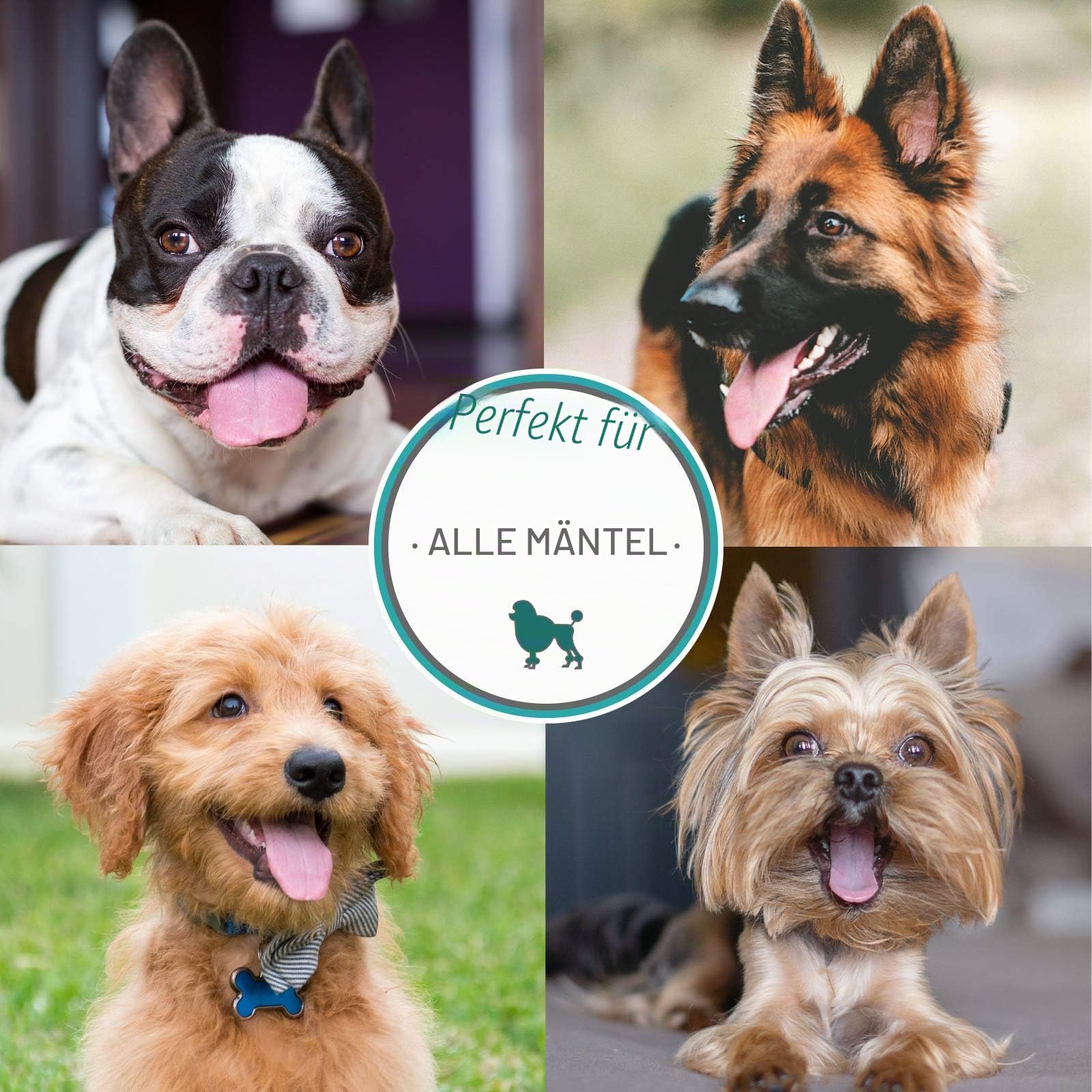 Nature's Specialties Aloe Premium Hundeshampoo - Kräuterpflegeshampoo für Hunde - Perfekt für Juckende Haut - Reinigt und Pflegt Gründlich - Für Glänzendes & Seidiges Fell - Kräuterduft, 946ml