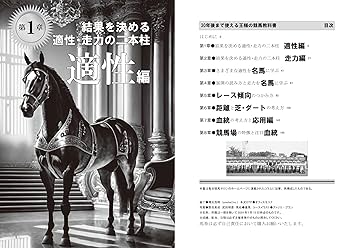 30年後まで使える王様の競馬教科書 (革命競馬) | 田端到 |本