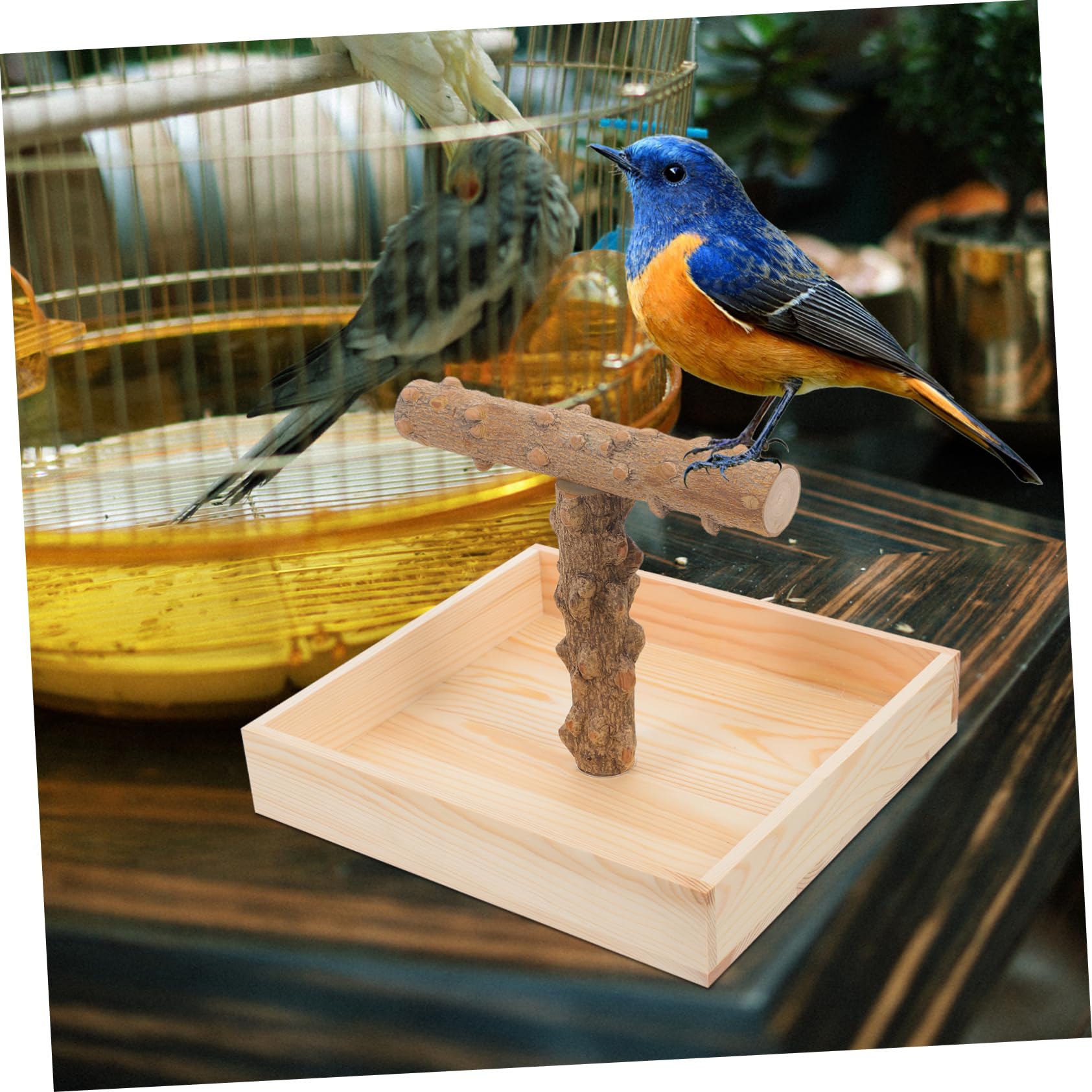 Toyvian Perchoir à Oiseaux en Bois Naturel pour Table Stable et Jeu pour Perruches