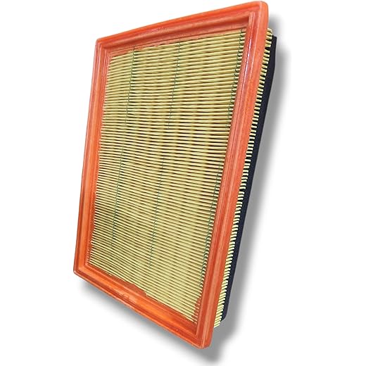 PAANJO Air Filter Replacement for Ford Ikon