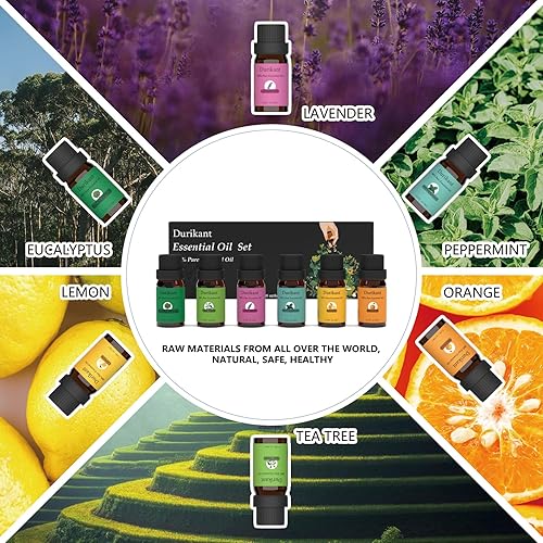 Miniatura 3 de Juego de aceites esenciales, 100% puro y natural, paquete de 6 (árbol de té, eucalipto, lavanda, naranja, menta, aceites de limón)  0.33 onzas