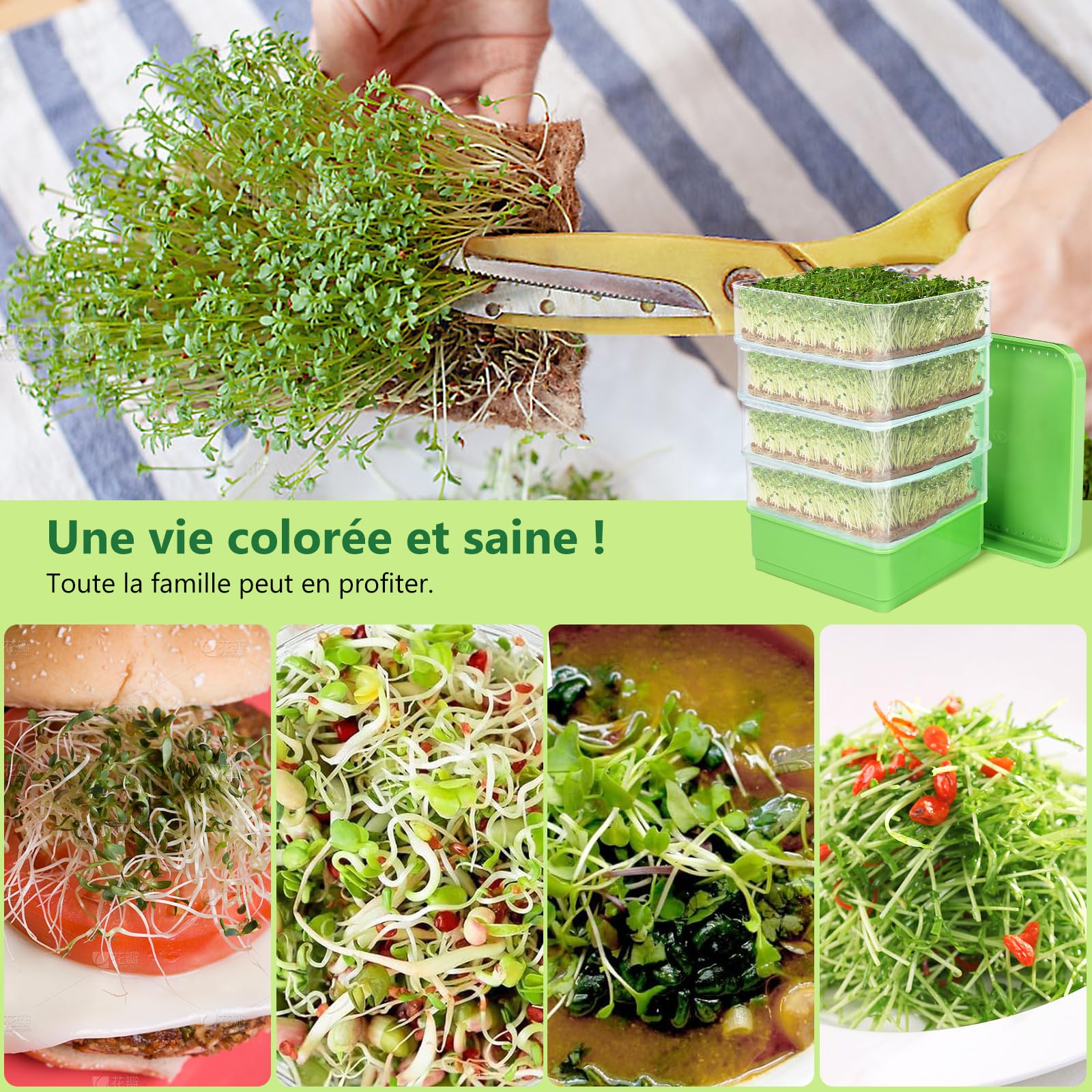 Kit de Germination de graines, kit de Culture de germes de Haricots à 4 étages, Plateaux de Culture de Micro-organismes Verts empilables pour Haricots, Luzerne et Herbe de blé