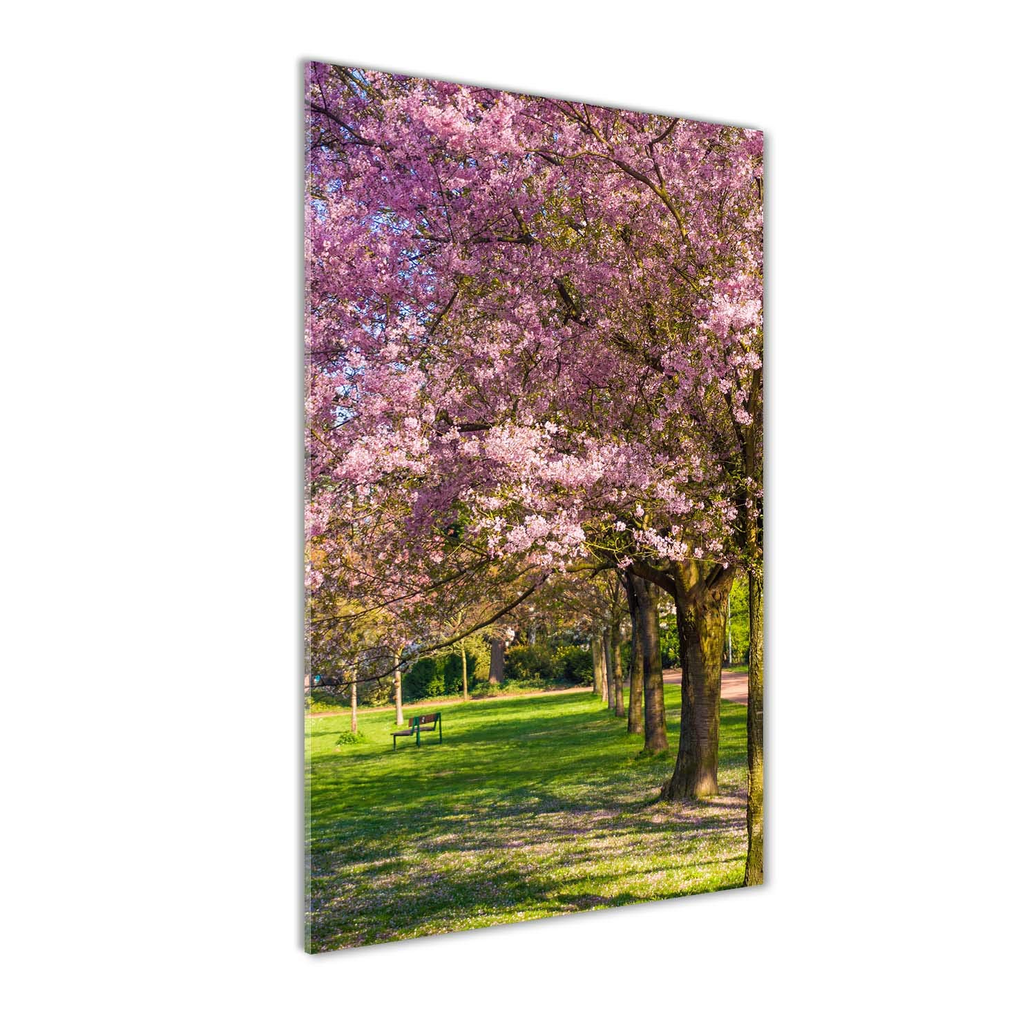 Image paysage cerisiers rose Tulup deco murale panoramique pour salon