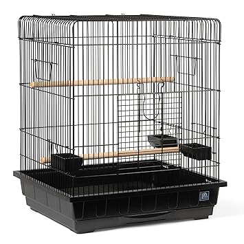 Prevue Hendryx Pet Products Square Roof Parrot Cage, Black