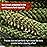 EZshoot 2 PCS Gun Cleaner, Bore Rope for Rifle Pistol, Gun Cleaning Barrel Cleaner (.38 Cal.357 Cal.380 Cal & 9mm/.30 Cal .308 30-06 .300 .303 & 7.62mm)