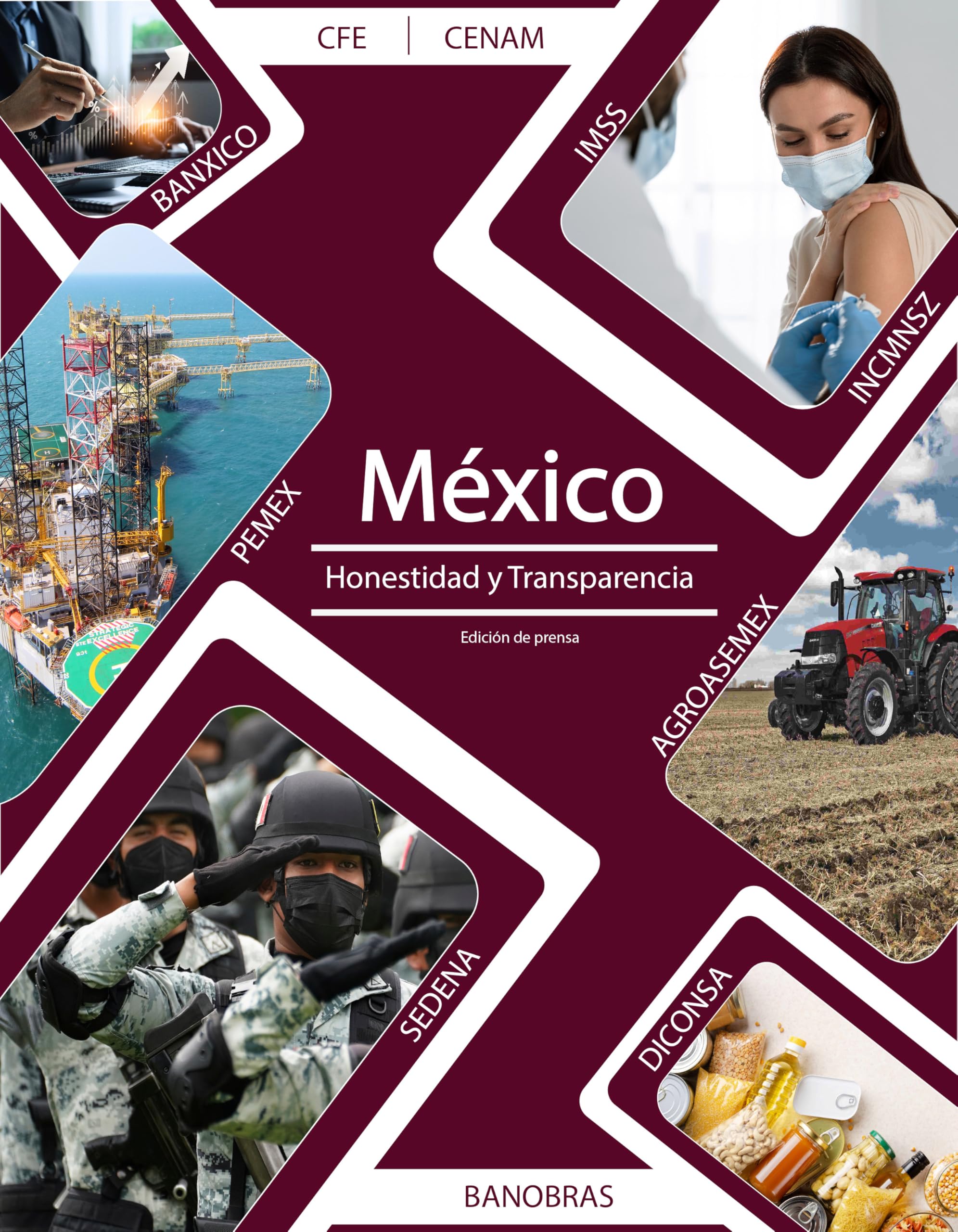 México: Honestidad y Transparencia (Spanish Edition)