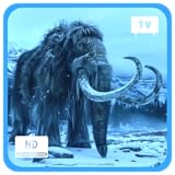 CozyCorner ScreenApps