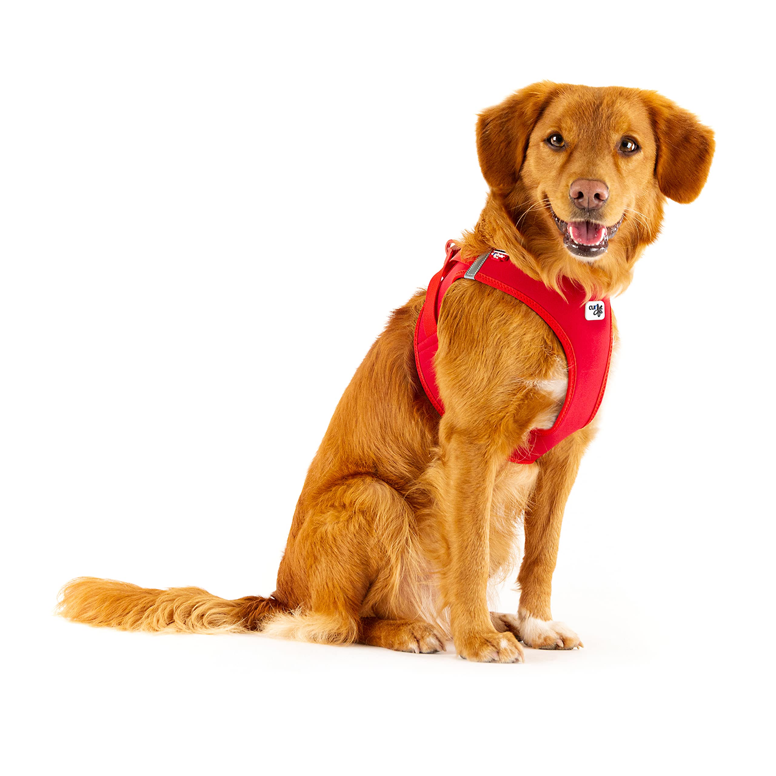 Vest Harness curli Clasp Softshell Red 3XS - Image 4