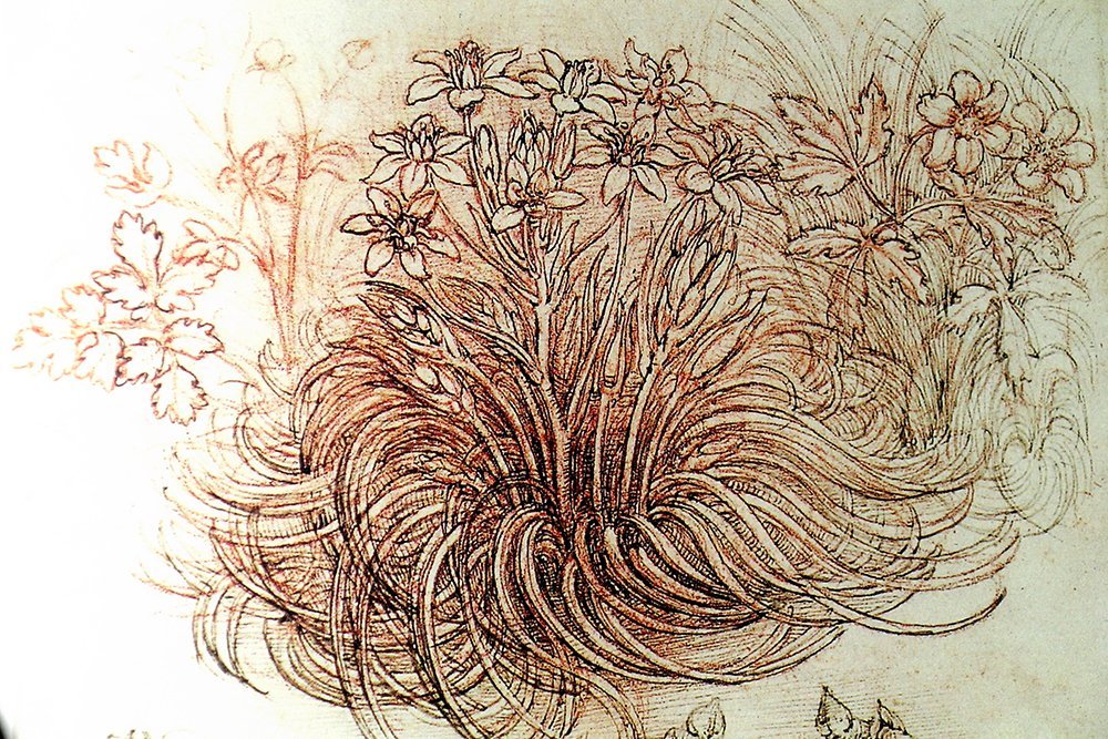 Cuadro decorativo de Leonardo Da Vinci Blumen en tamaño mediano con elegante superficie mate