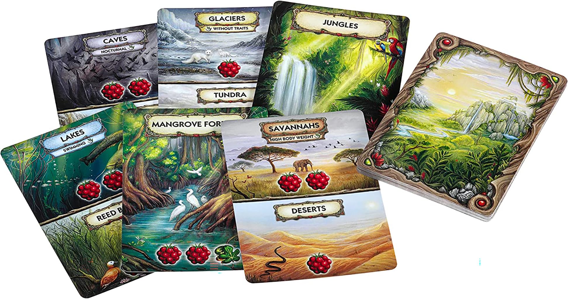 Evolution: New World Brettspiel – Strategiespiel Zur Tierentwicklung, Englische Version