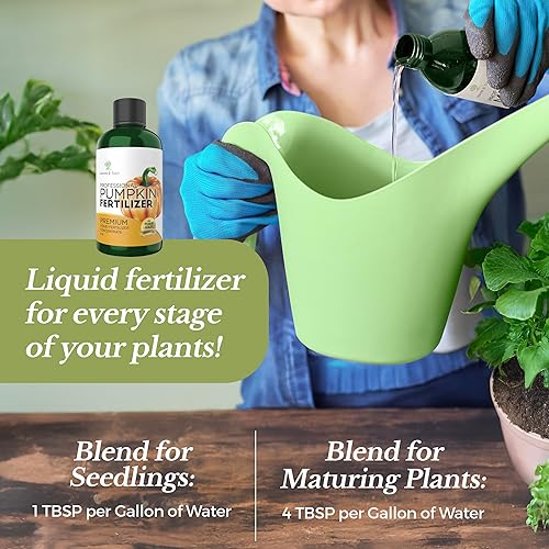 Miniatura 3 de Fertilizante líquido profesional de calabaza  Concentrado 5-1-5 para plantas de calabaza  Mezcla multiusos y suministros de jardinería  Botella de 8