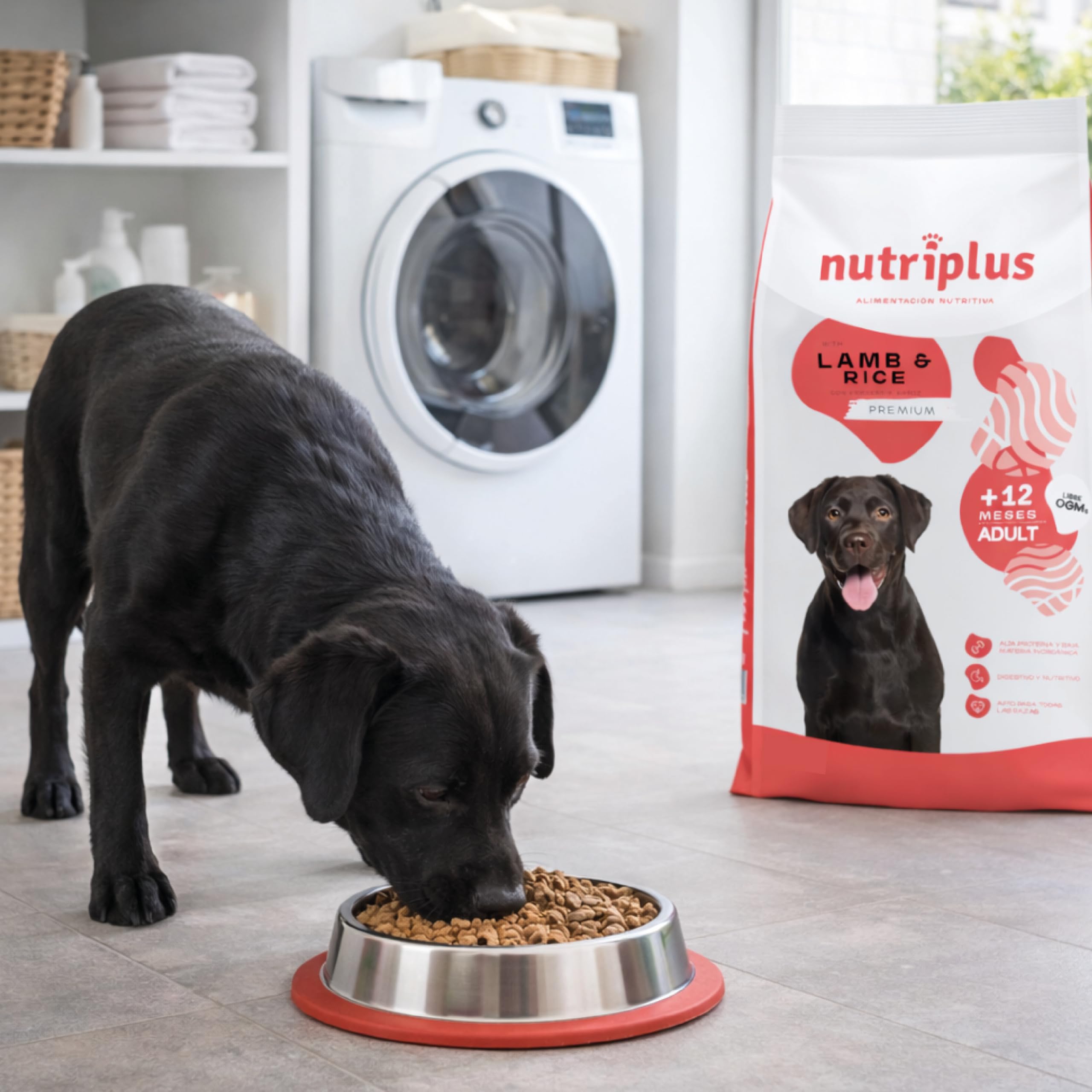 Pienso para Perros Adultos de Cordero Premium - Dieta Hipoalergénica y Cuidado Digestivo - Sin OGM Saco 12 Kg Rico en Hierro y Proteína