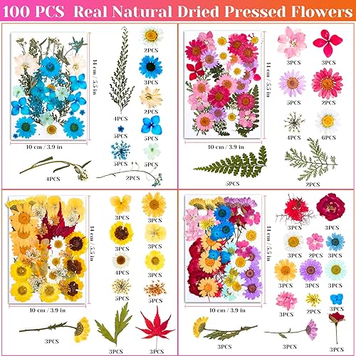 Vista 17 de 102 piezas de flores secas para moldes de resina, hojas de flores prensadas secas naturales a granel para hacer joyas, kit de hierbas secas reales