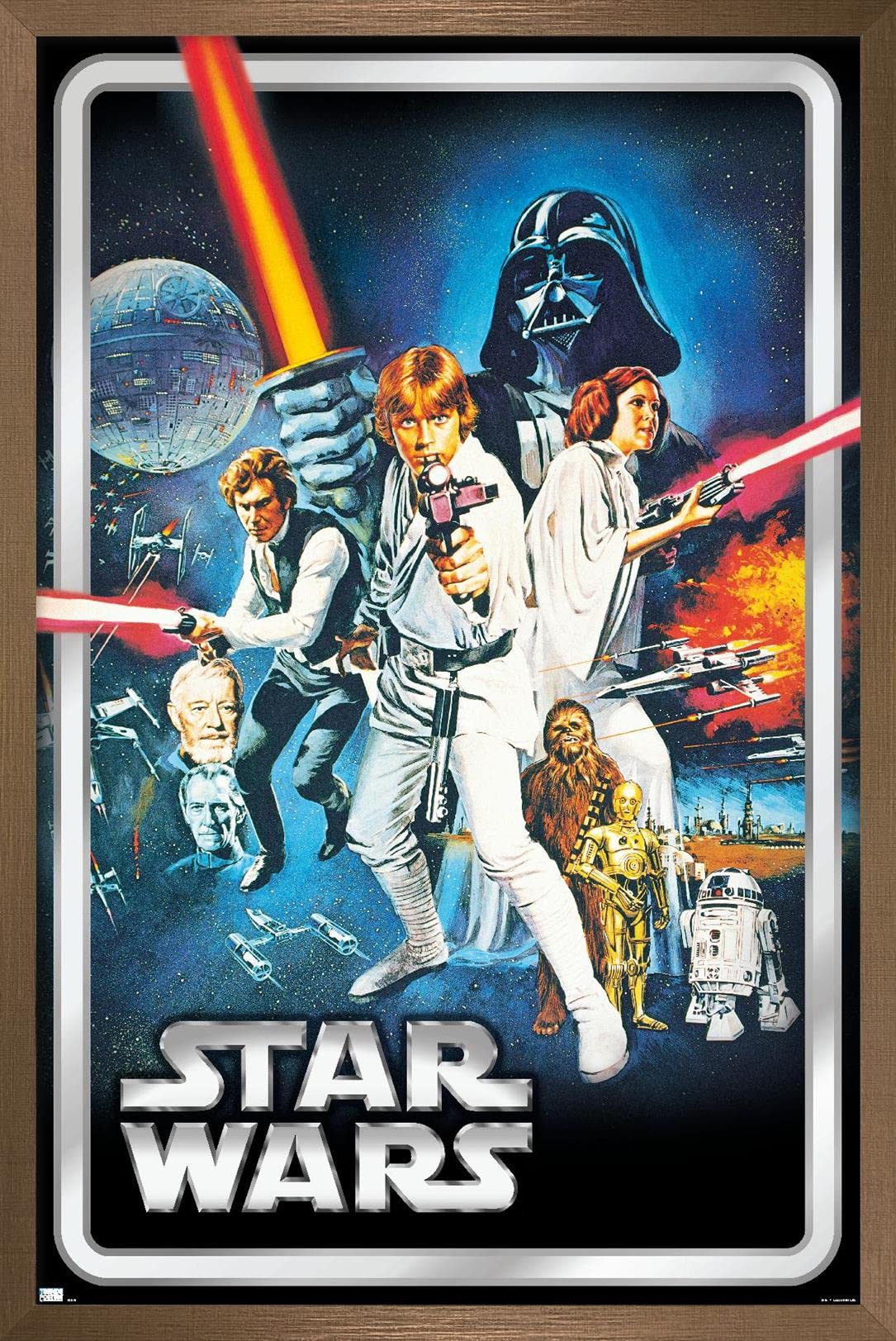 Amazon.com: Star Wars: A New Hope - Classic Pose Wall Poster, 34L