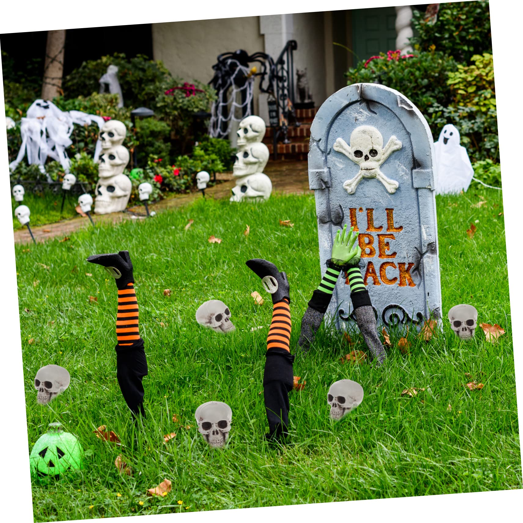 TOPBATHY 36 Pz Modello Di Teschio Di Simulazione Decorazioni Della Testa Di Scheletro Teschi Realistici Scheletri Di Halloween Teschi Scheletrici Arredamento Del Cranio Santificare Plastica