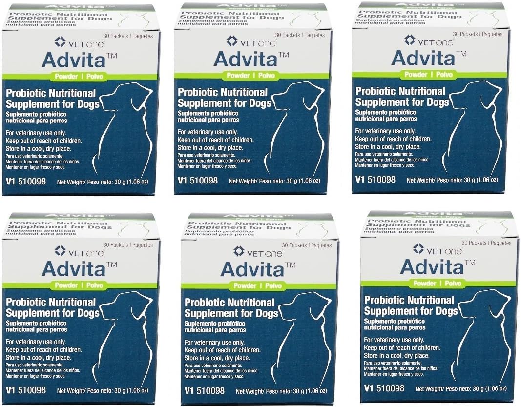 VetOne: Advita Probiotic Powder for Dogs, a Daily Nutritional Supplement to Maintain Immune System, Appetite, & Digestion in 30, 1g…