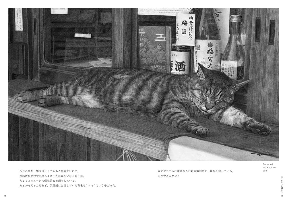 箱入り猫 鉛筆画 西方 由美 (@tarakuro510) / X