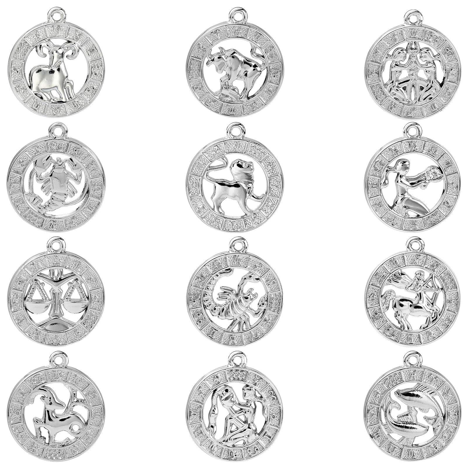 DanLingJewelry 24Pcs Antique Silver Zodiac Charms Twelve Constellation Zodiac Sign Charms Horoscope Sign Charms for Jewellery Making DIY