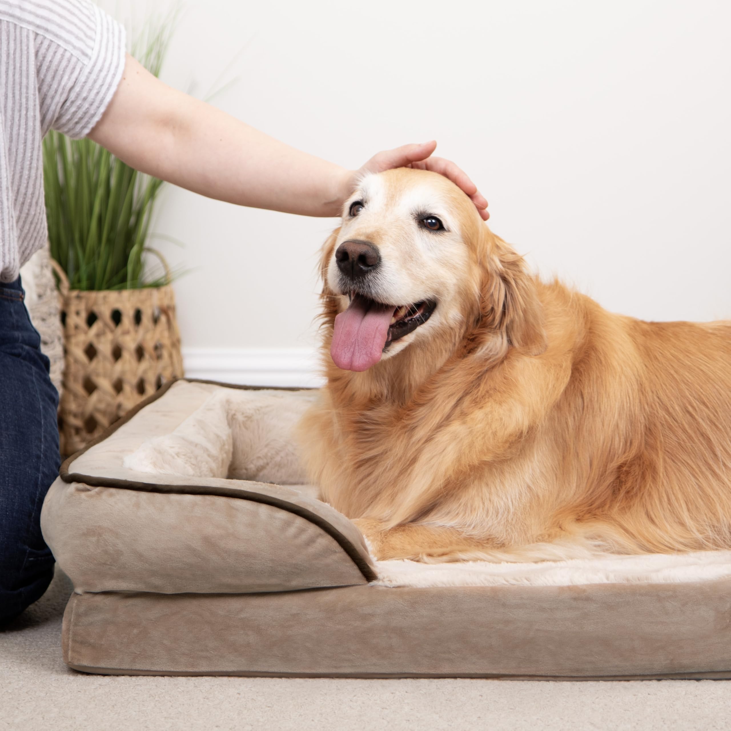 Amazon | FurHaven (ファーヘイブン) 冷却ジェル 犬用ベッド 大型/中型