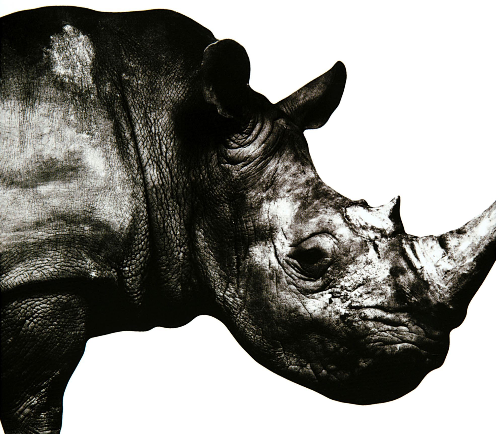 邦楽 MR.CHILDREN 1992-1995 81fA3JjSUSL._SY200_QL15_.jpg