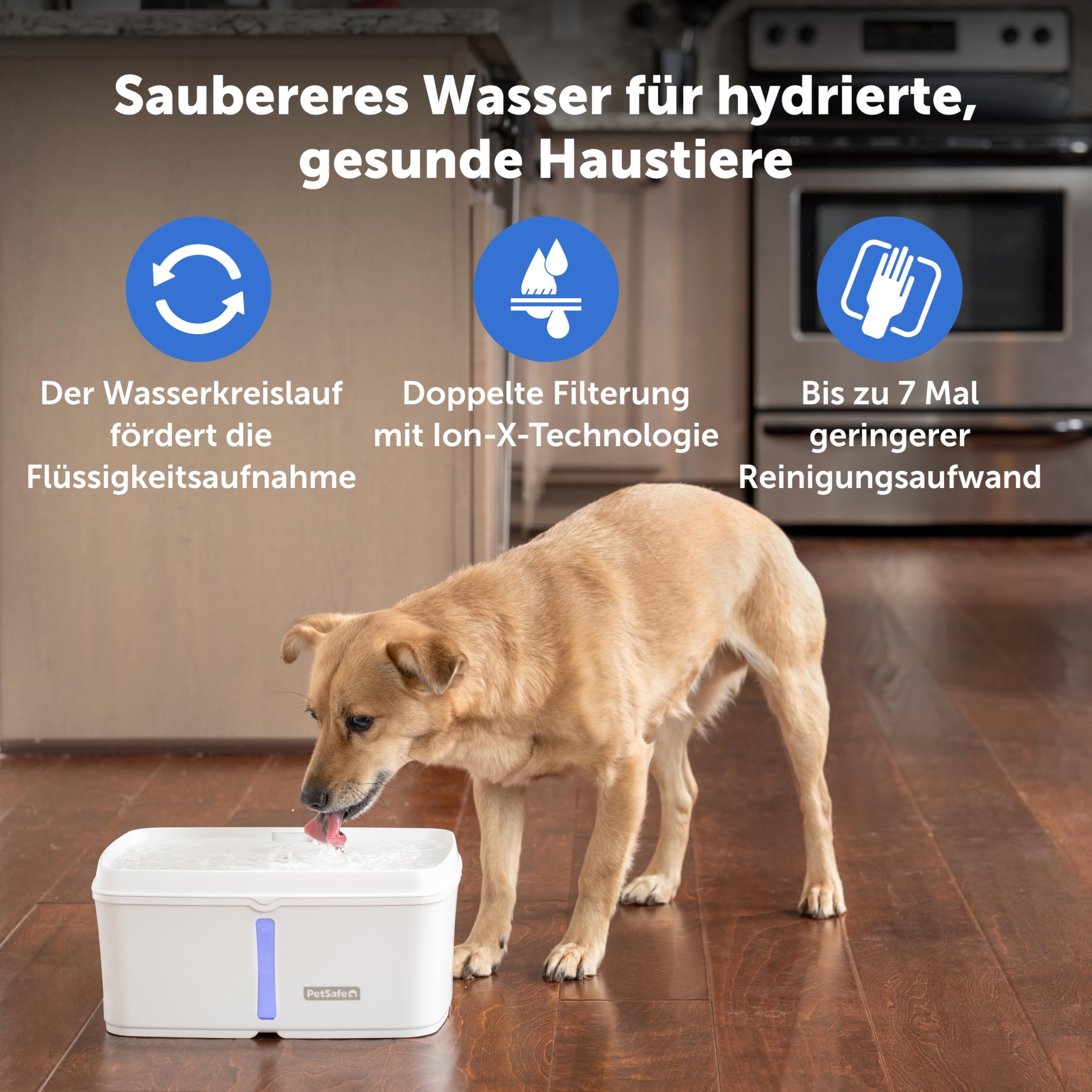 PetSafe Viva Trinkbrunnen für Katzen und kleine Hunde – 4,1 l/140oz, Trinkbrunnen für Katzen für den Innenbereich mit extrem leiser Pumpe, spülmaschinenfest, leichte Reinigung, Wasserfilter enthalten