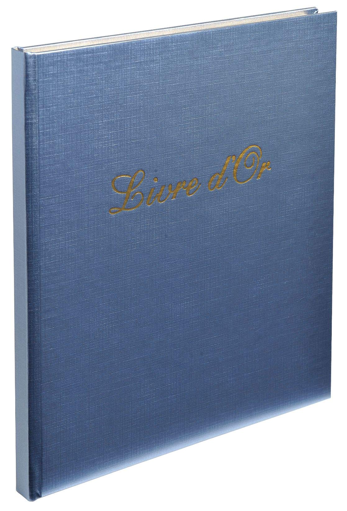 Exacompta - Réf. 984E - 1 Livre d'or Shiny Irisé - Format carré 21 x 19 cm - Tranche or avec titre - 140 pages blanches unies - 4 coloris aléatoires : Bleu argent - Bleu nuit - Cuivre - Or