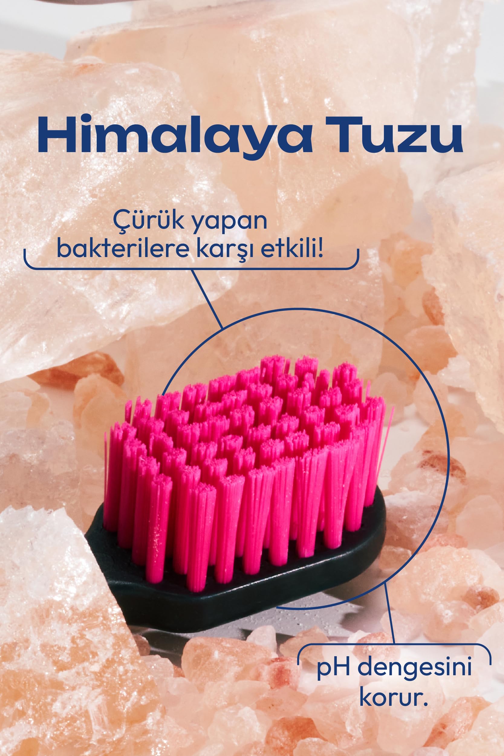 Probident Diş Fırçası Himalaya - Gri