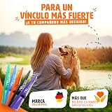 Ver la foto 6