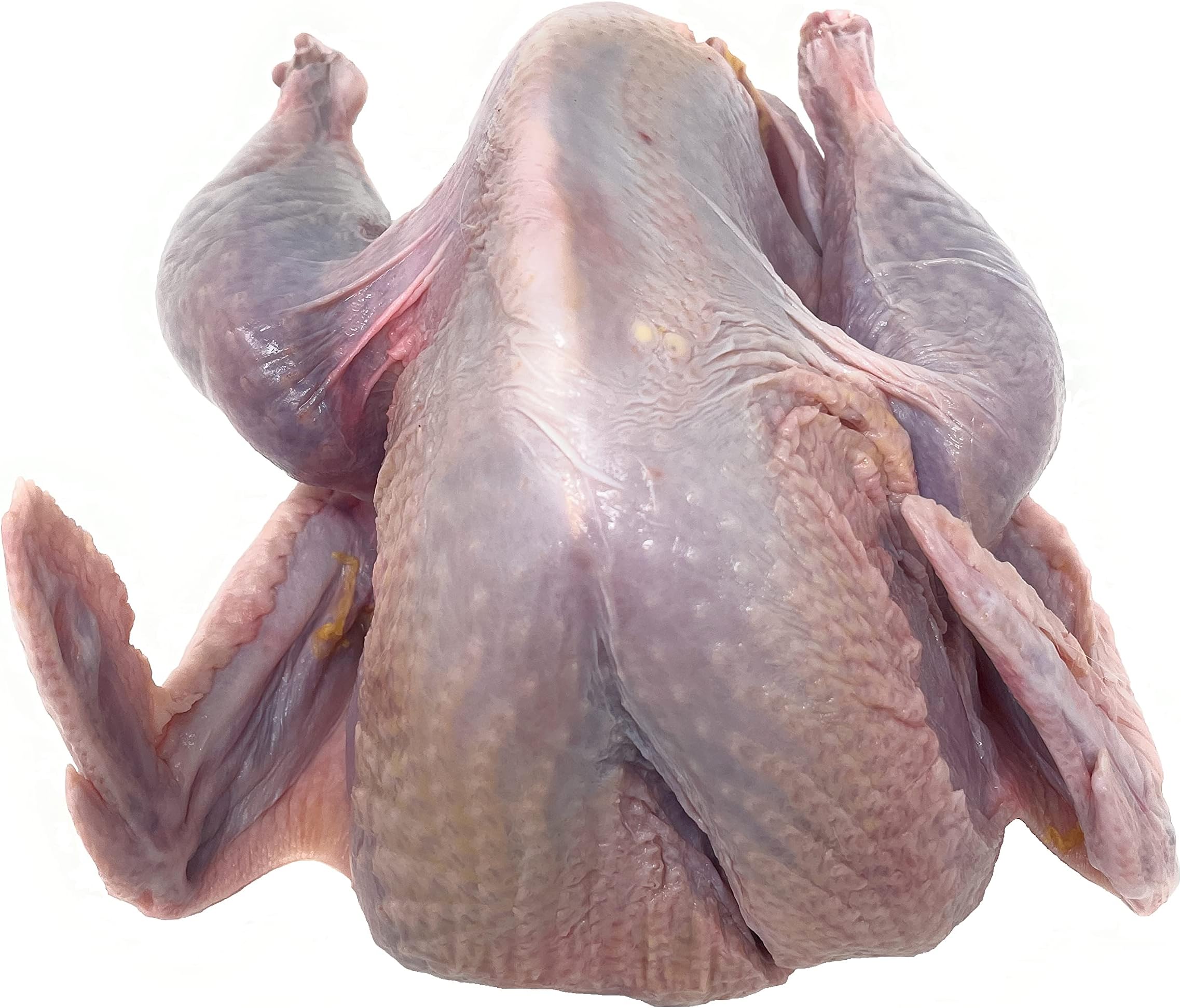 Macfarlane All Natural Whole Pheasant, 2.2-2.5 lb Average, Frozen, Certified Humane