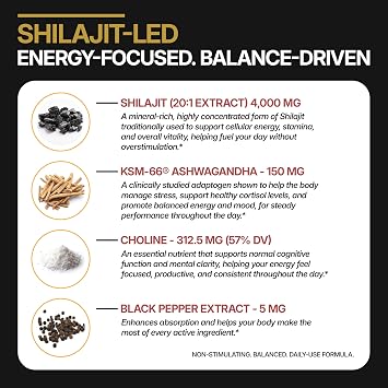 DLNIA 13-in-1 Shilajit Gummies with KSM-66 Ashwagandha | 4000 mg Himalayan Shilajit Extract (20:1), Choline & Botanicals | Sugar-Free, Vegan | Energy, Focus & Daily Vitality Support for Men & Women