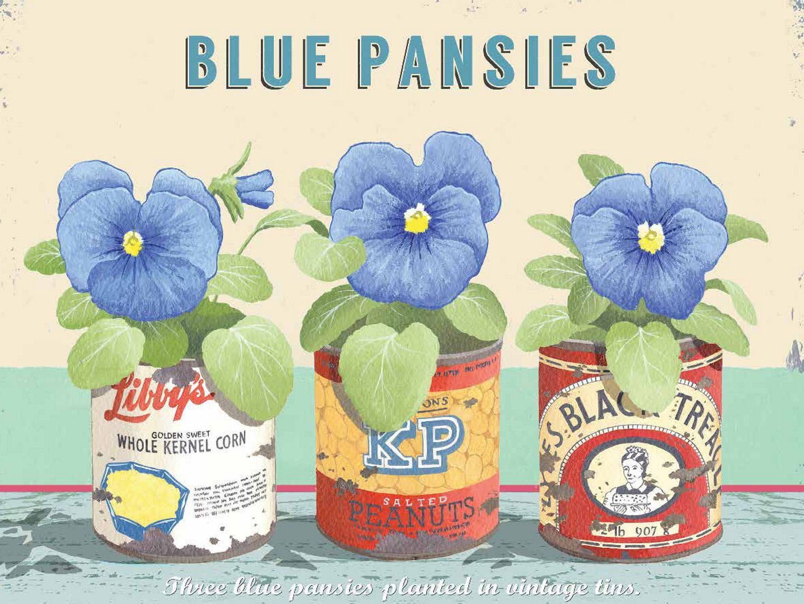 Tin Sign BLUE PANSIES Garden Kitchen Mum Gift Retro Vintage Metal Tin Sign 15x20