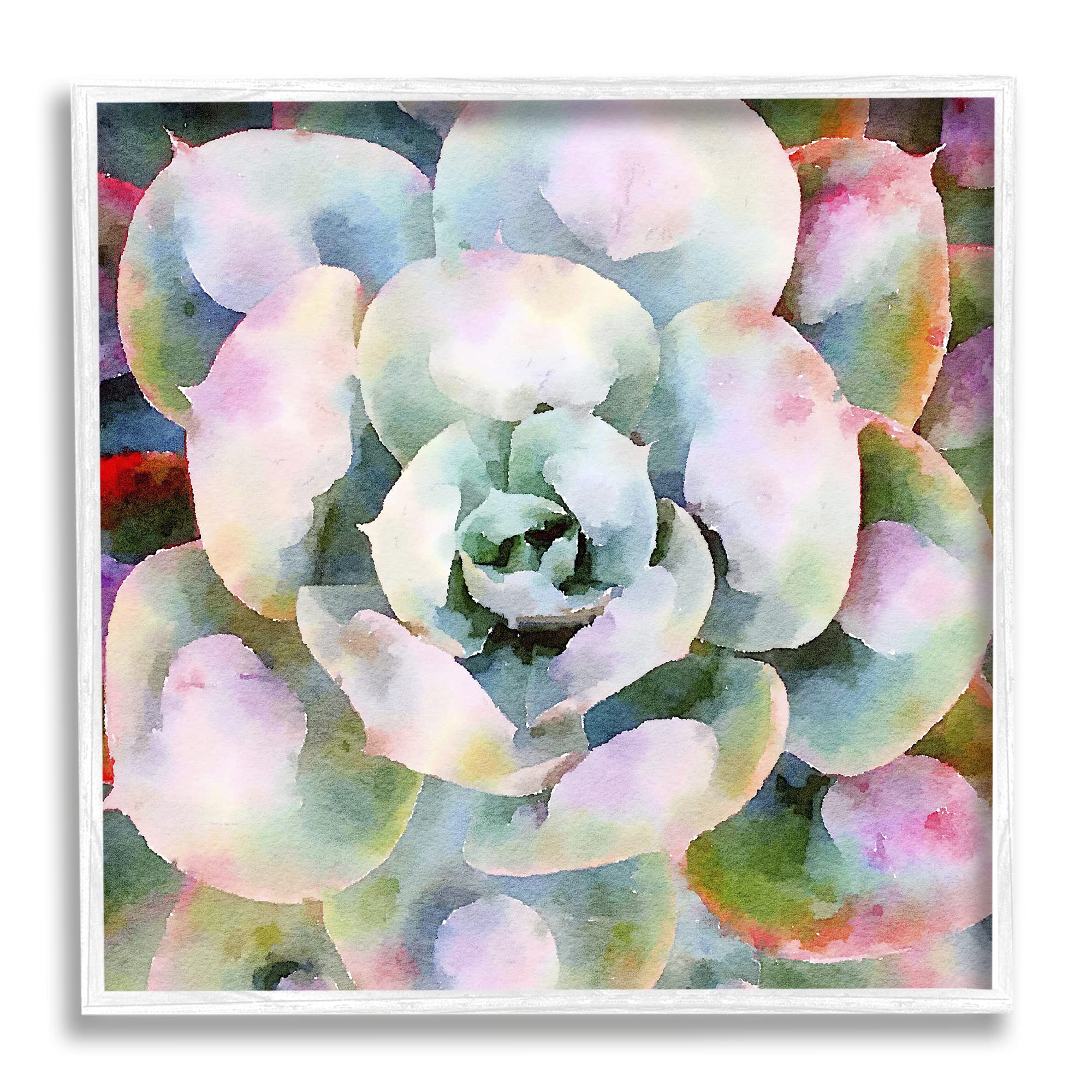 Stupell IndustriesSucculent Plant Bold Hues Framed Giclee Art, Design by Vicki Gladle Bolick