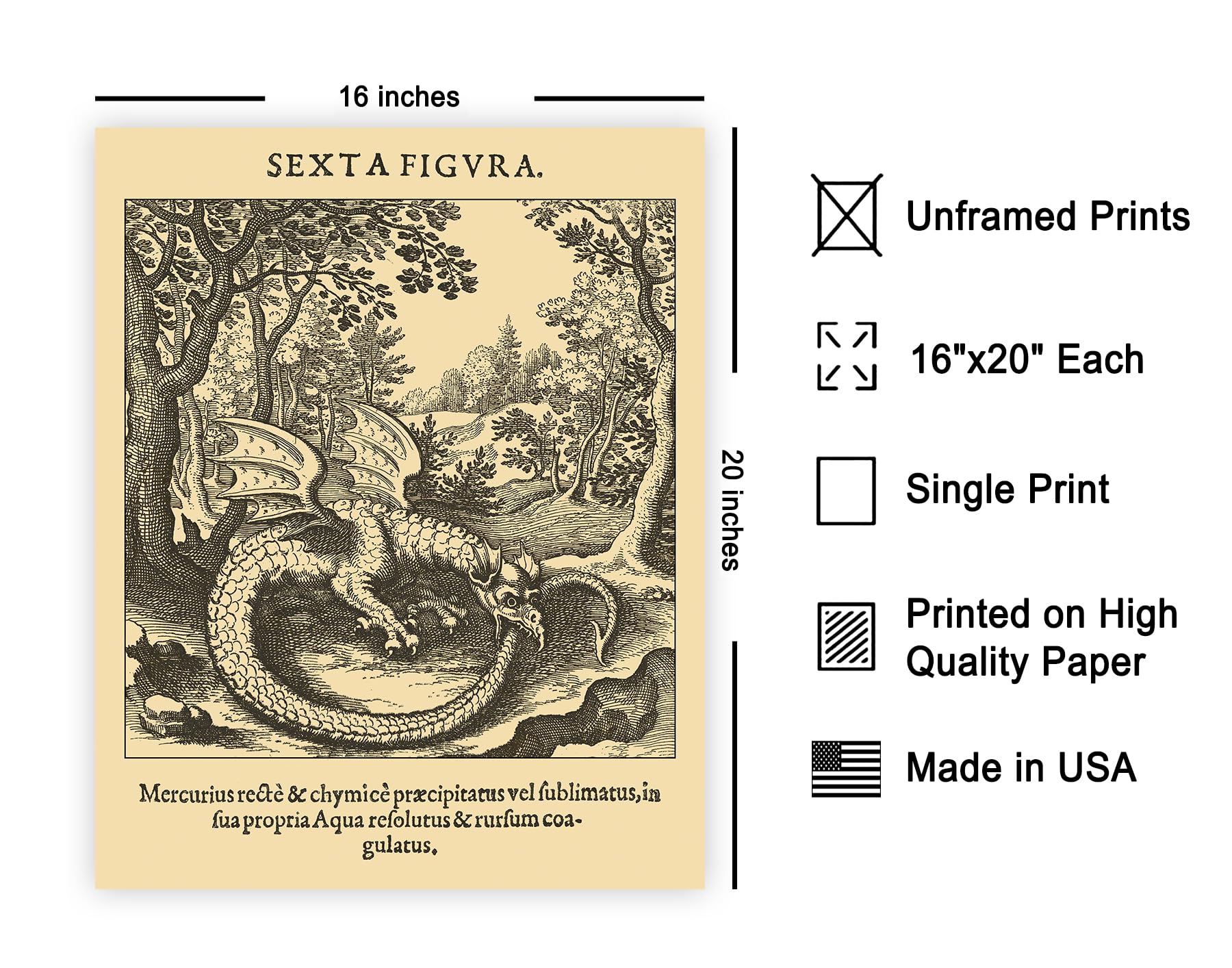 Amazon.com: Poster Master Vintage Ouroboros Poster - Retro Sexta