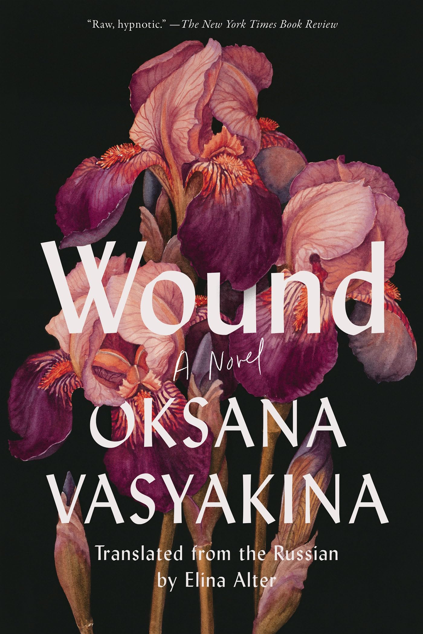 Wound: A Novel