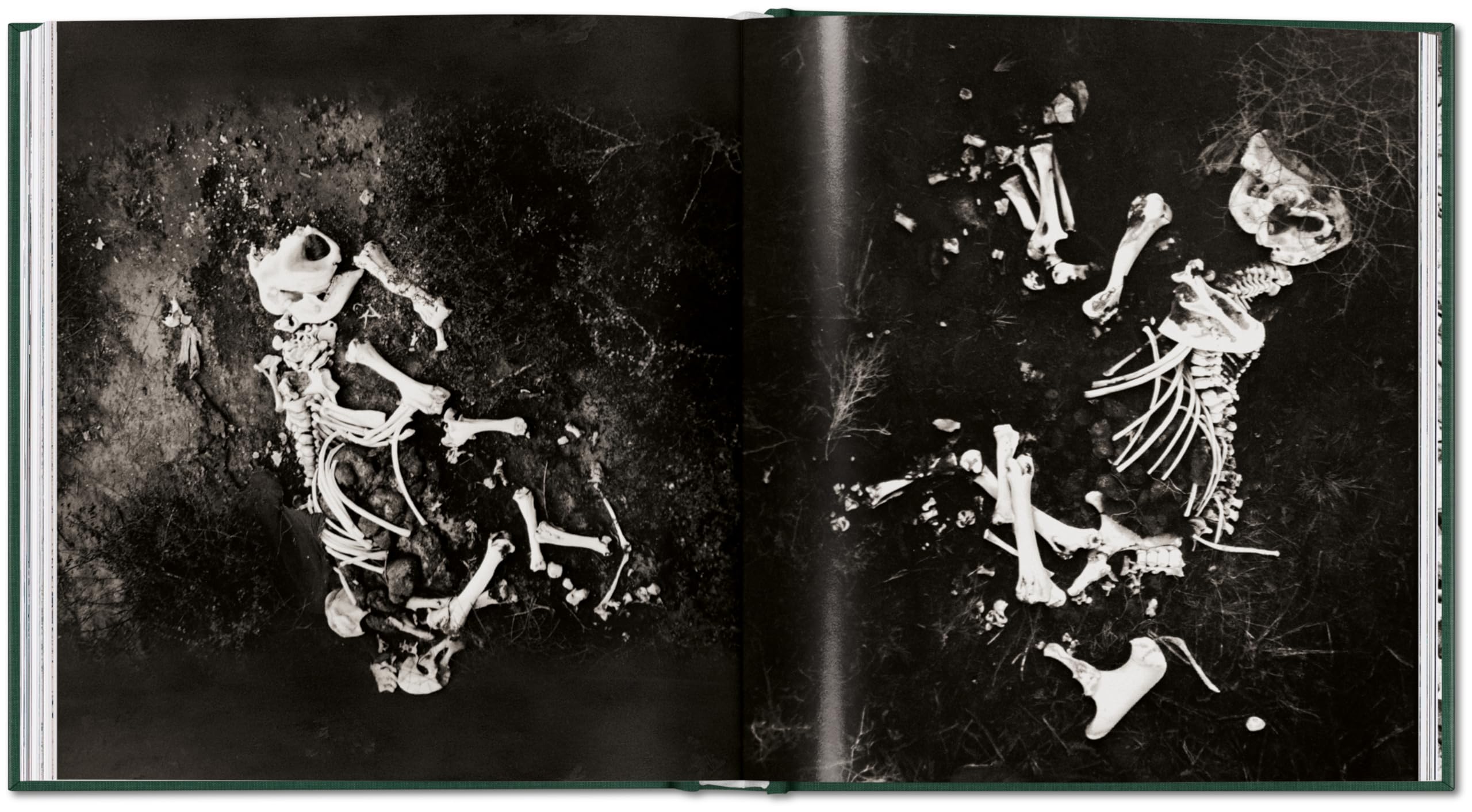 Peter Beard: The End of the Game