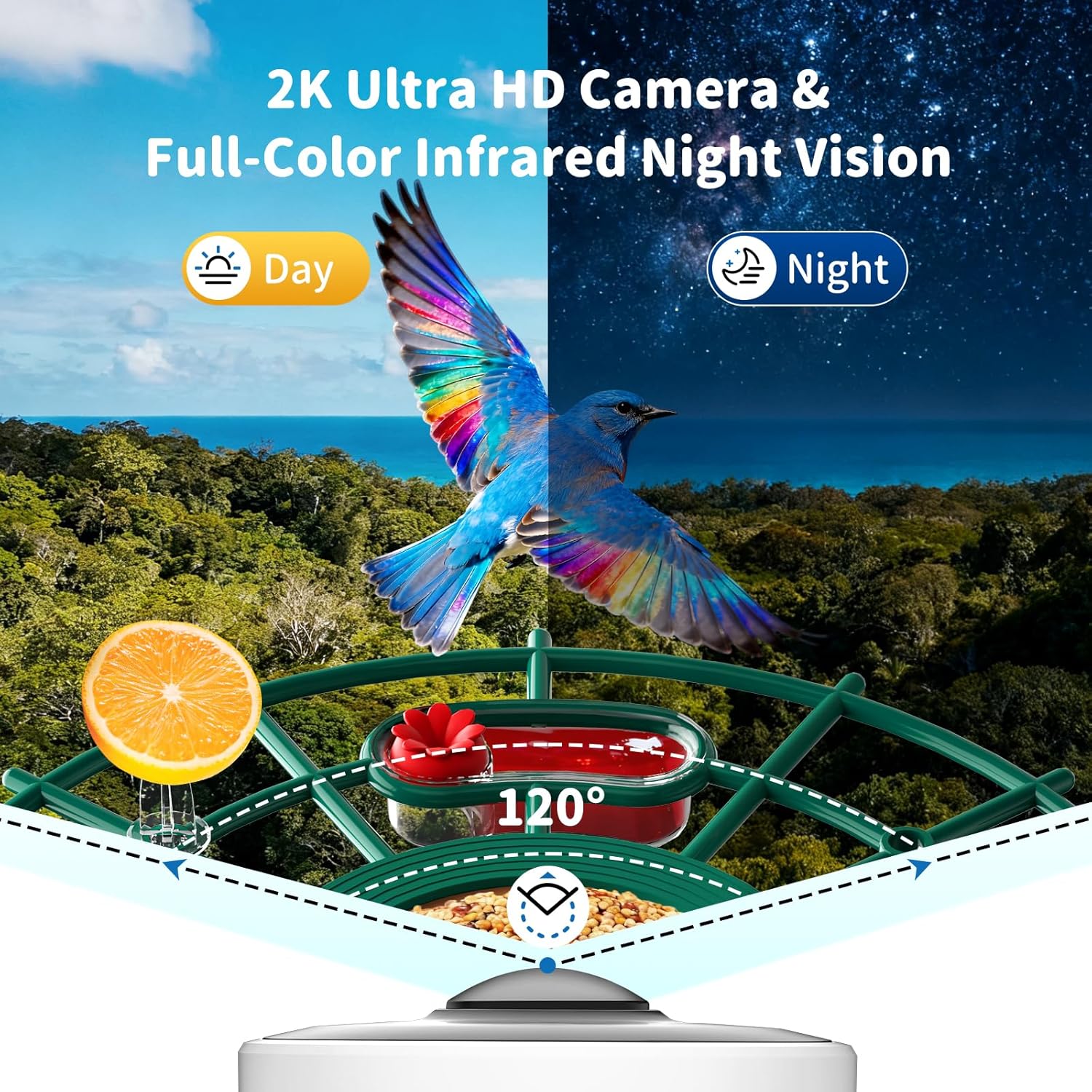 NIORSUN Smart Bird Feeder with Camera Solar Powered, 2K HD Video AI Recognition Feeder with Instant Notifications, Eagle Alarm, Infrared Night Vision, Ideal Gift for Family and Bird Lovers, Green
