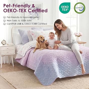 DREAMCLOUD HOME 3 Piece Quilt Set Bailey Pattern Printed Coverlet Set, Lightweight Reversible Coverlet Set, Soft All Season Coverlet Set (1 Comforter & 2 Pillow Shams)