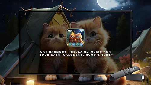 Cat Harmony-música relaxante para seus gatos calma, humor e sono