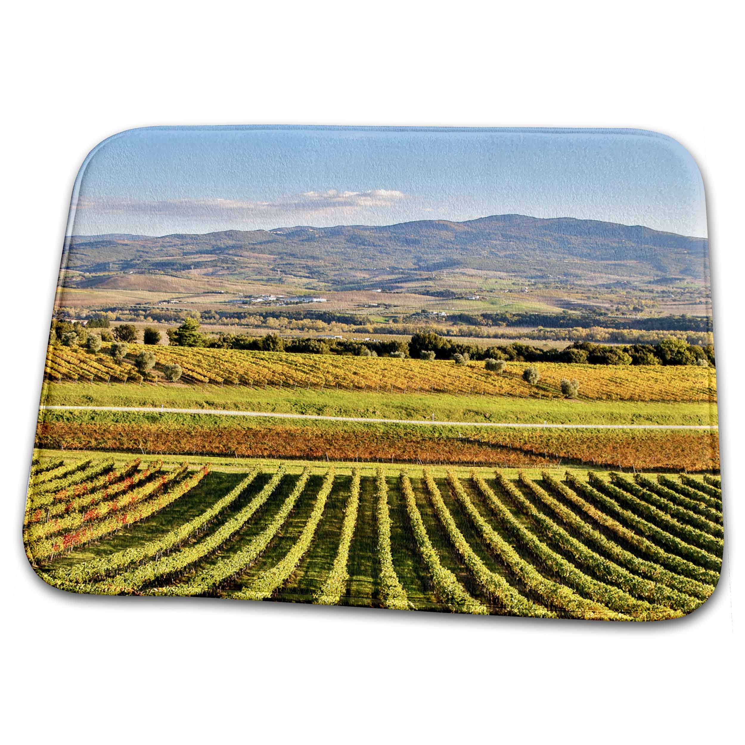 3dRose Bathroom Bath Rug Mat - Italy, Montalcino, Rows of Vines, Castello Banfi Vineyards