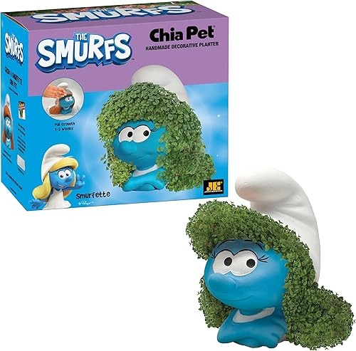Miniatura 45 de Chia Pet Trolls, Poppy World Tour con paquete de semillas, maceta decorativa de cerámica, fácil de hacer y divertido de cultivar, regalo novedoso