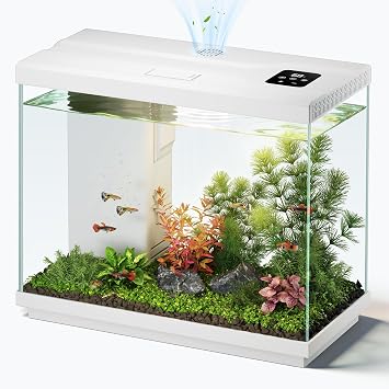 2.2 Gallon Fish Tank with 4-in-1 Filter Pump, Quiet Betta Aquarium with LED Light, Temperature Display & Surface Intake Design, Small Aquarium for Home Office, Beginner Friendly