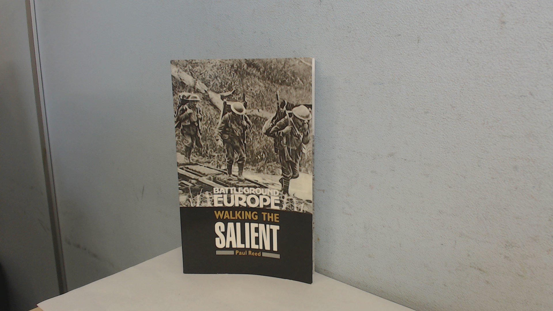 Walking the Salient: Ypres (Battleground Europe)