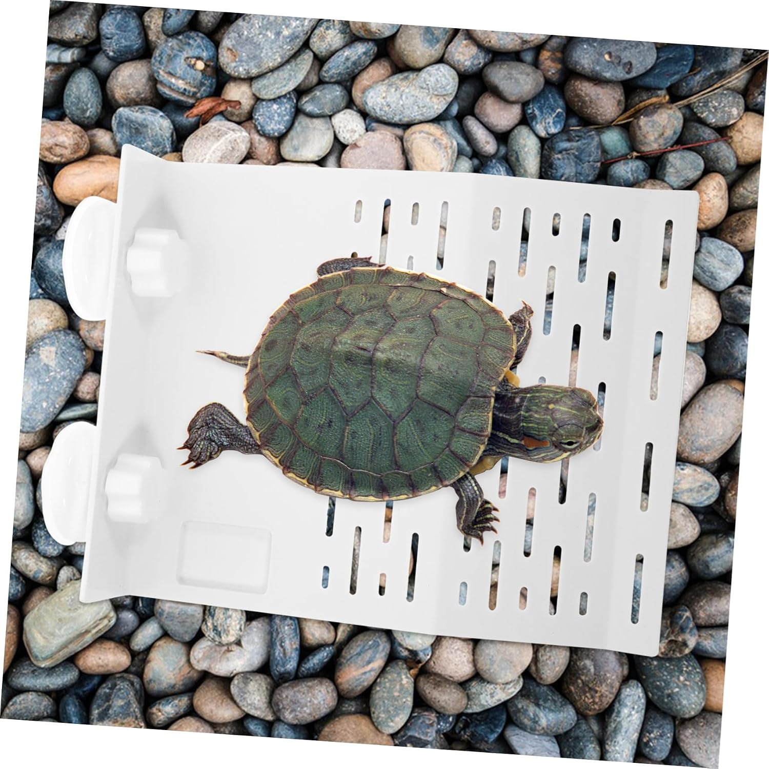 Tortoise Table Reptile Ladder Turtle Tank Rocks Plastic Turtle Platform Basking Slope for Climbing Resting